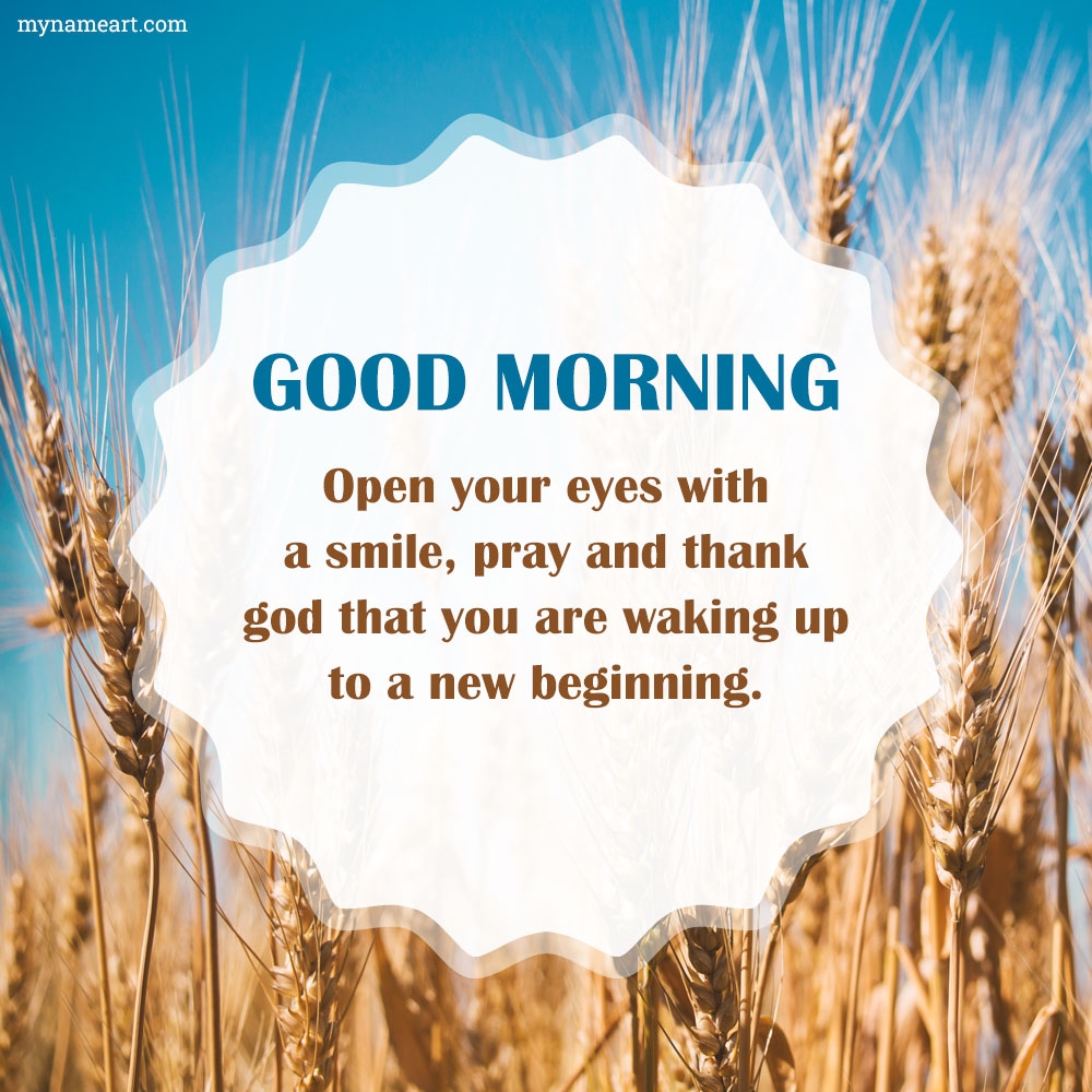 Wheat Field Background With Morning Latest Message